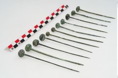 Foto von Kugelkopfnadel (NHMW-PRAE-035770)